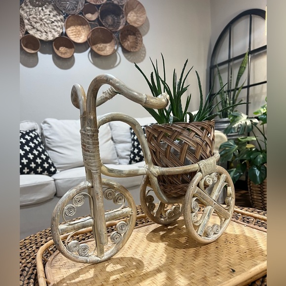 Boho Rattan Tricycle Planter - Picture 11 of 14